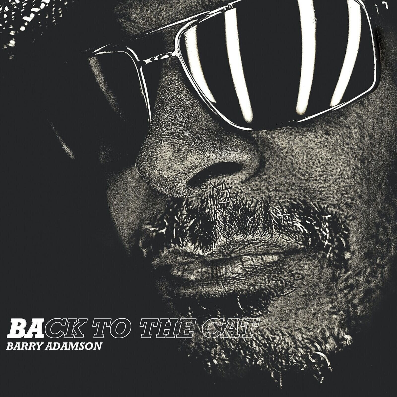 LP ploča Barry Adamson - Back To The Cat (Limited Edition) (Clear Coloured) (LP)