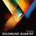 Disc de vinil Goldmund Quartet - Goldmund Quartet - Prisma (LP)