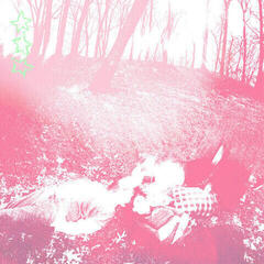 Schallplatte Dehd - Water (Limited Edition) (Ice Blue Coloured) (LP)