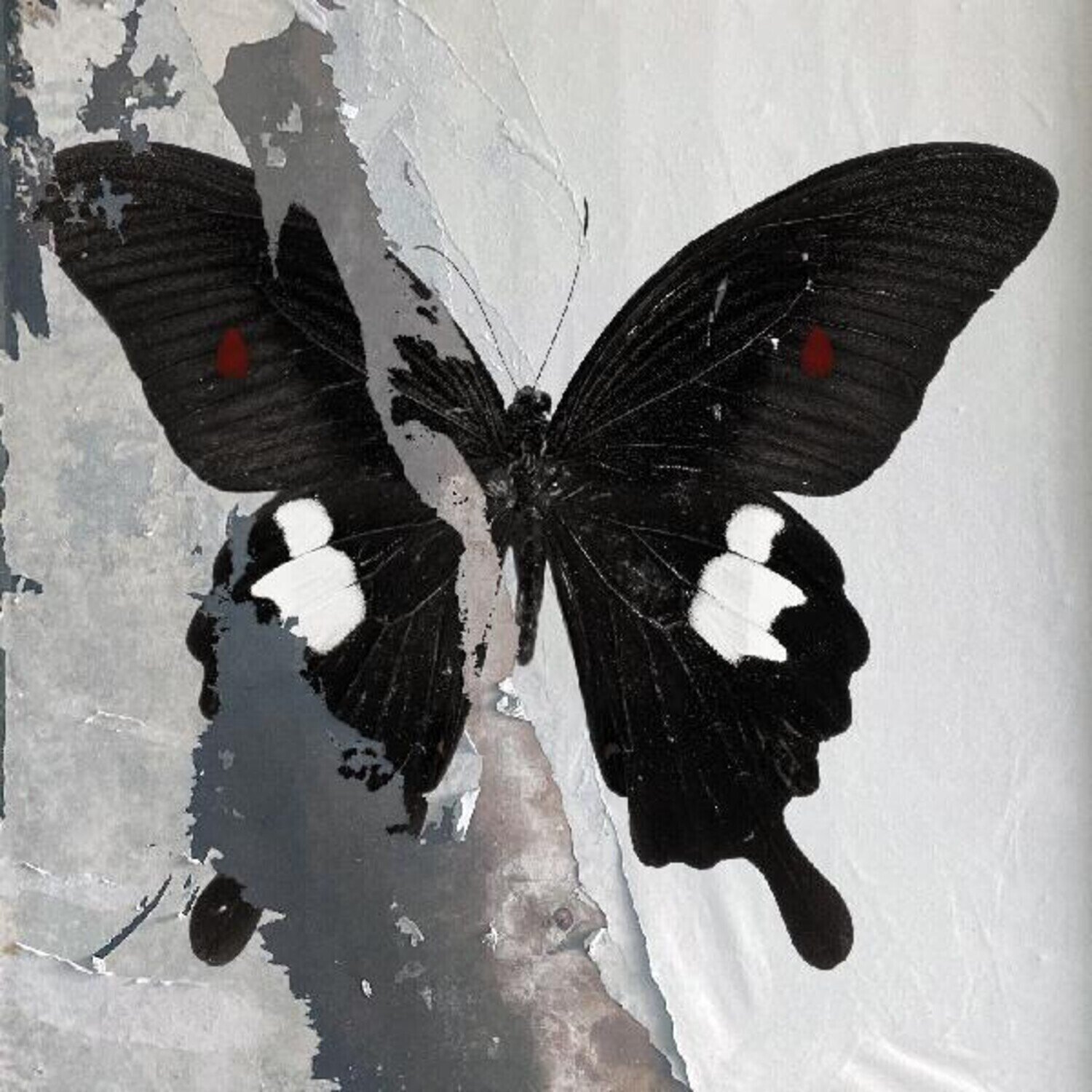 LP ploča Death Cult - Paradise Now (Limited Edition) (Clear Splatter Coloured) (LP)