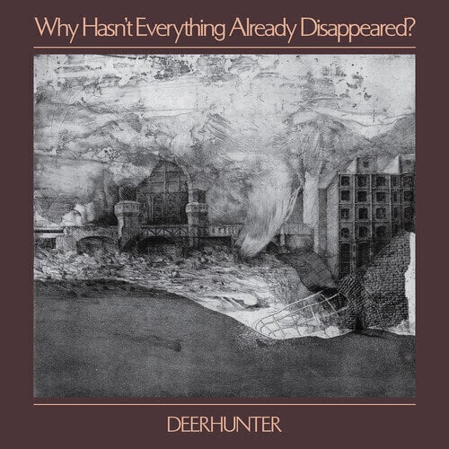 LP ploča Deerhunter - Why Hasn't Everything Already Disappeared? (Grey Coloured) (LP)