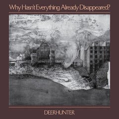 LP ploča Deerhunter - Why Hasn't Everything Already Disappeared? (Grey Coloured) (LP)