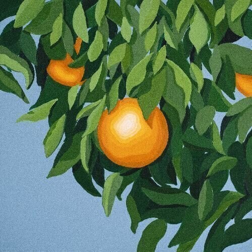 LP ploča Tyler Ballgame - For The First Time, Again (Orange Coloured) (LP)