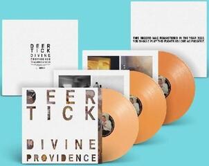 LP ploča Deer Tick - Divine Providence (Remastered) (11th Anniversary Edition) (3 LP)