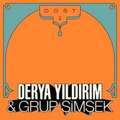 LP ploča Derya Yıldırım & Grup Şimşek - Dost 2 (LP)