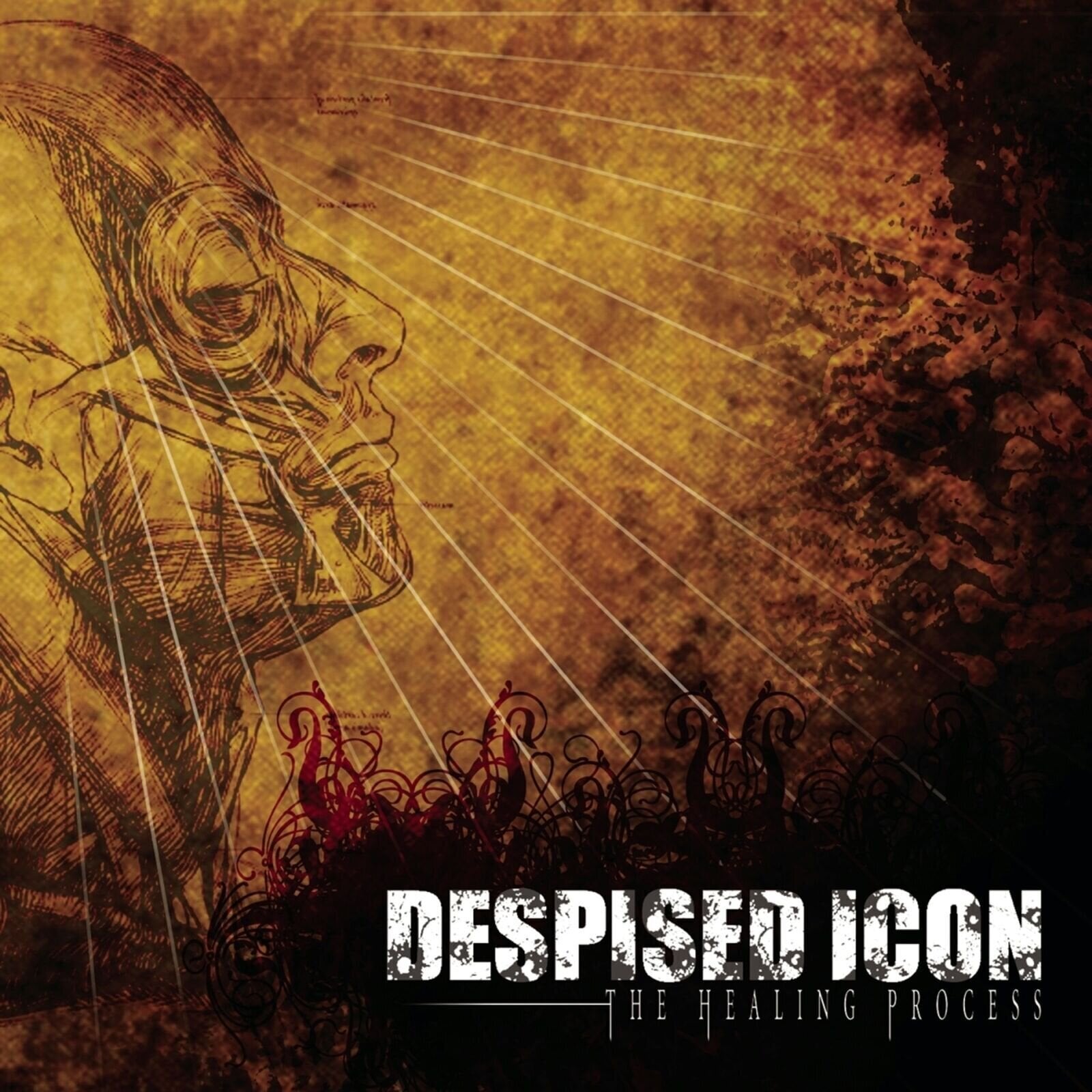 LP ploča Despised Icon - The Healing Process (Reissue) (Limited Edition) (Transparent Dark Amber Coloured) (180 g) (LP + CD)