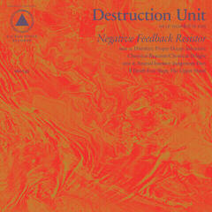 LP ploča Destruction Unit - Negative Feedback Resistor (LP)