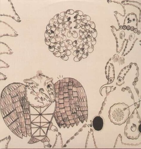 Disc de vinil Devendra Banhart - Rejoicing In The Hands / Niño Rojo (2 LP)