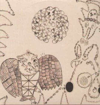 Disc de vinil Devendra Banhart - Rejoicing In The Hands / Niño Rojo (2 LP) - 1