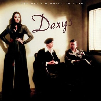 LP ploča Dexys Midnight Runners - One Day I'm Going To Soar (Reissue) (Anniversary Edition) (Gold Coloured) (2 LP) - 1