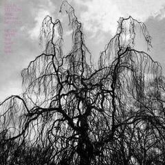 Disc de vinil Colin Stetson And Sarah Neufeld - Never Were The Way She Was (LP)