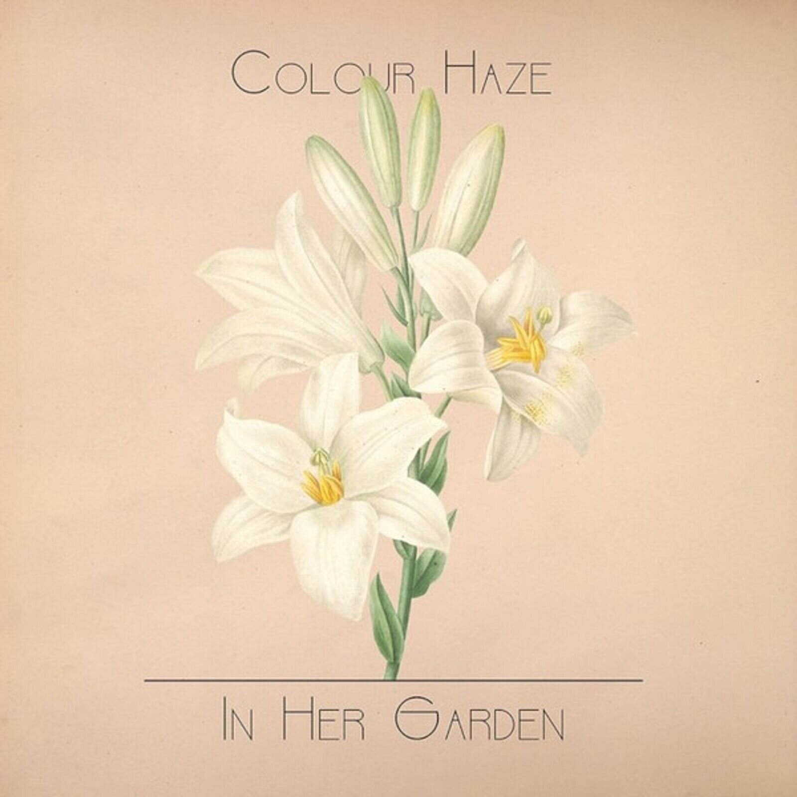 LP deska Colour Haze - In Her Garden (Reissue) (2 LP)
