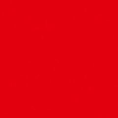 LP ploča Conrad Schnitzler - Rot (Reissue) (LP)