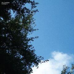 LP deska Cloud Nothings - Turning On (Limited Edition) (Blue Translucent Westlake Water Coloured) (LP)