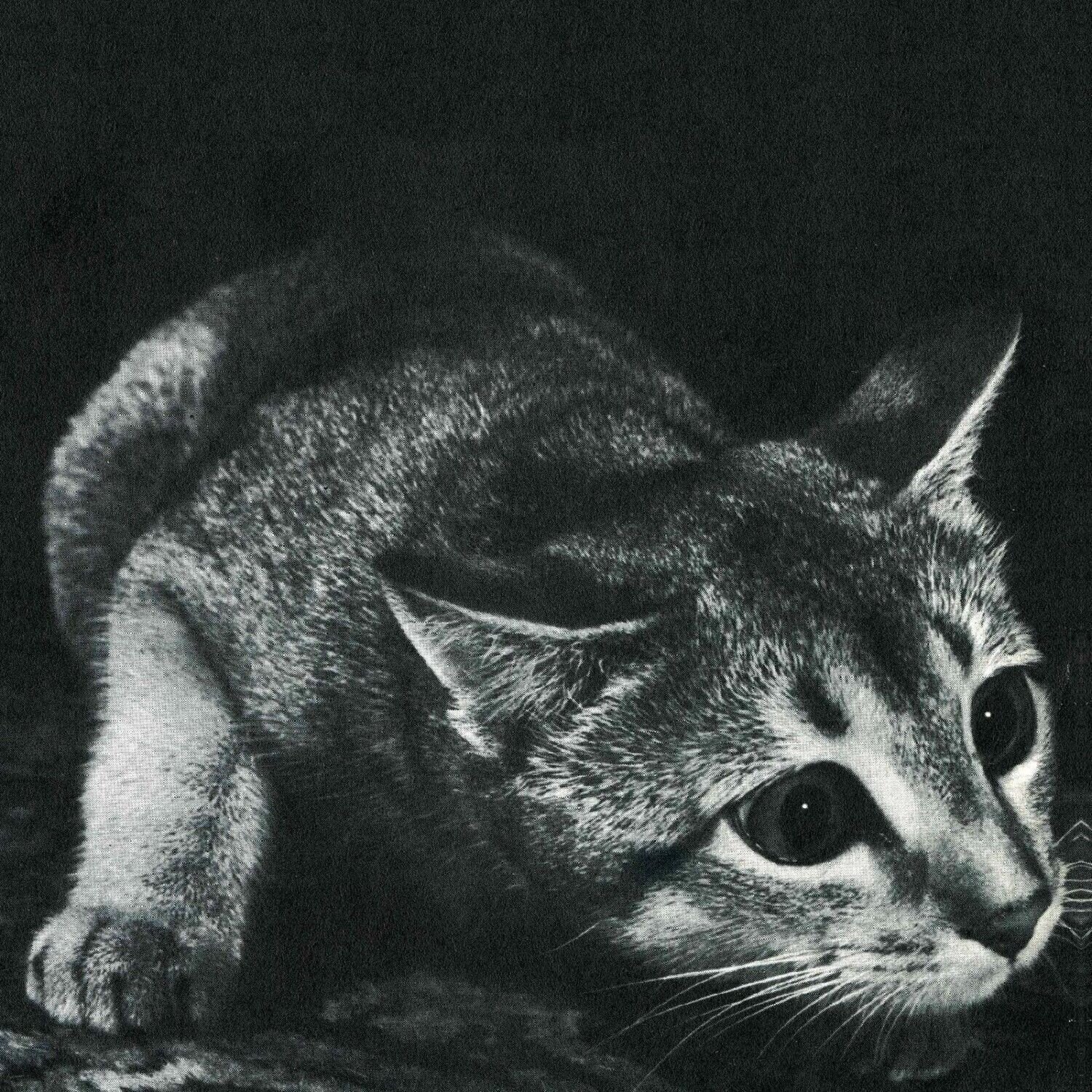 Disco de vinil Cindy - Cindy (Reissue) (LP)