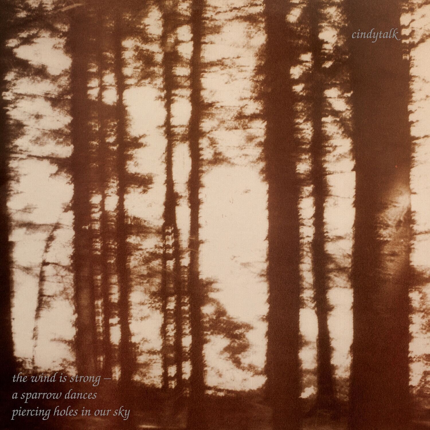 Disc de vinil Cindytalk - The Wind Is Strong... (Limited Edition) (Marble Smoke Coloured) (LP)