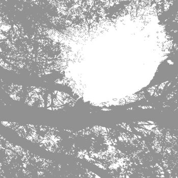 LP ploča Comets On Fire - Field Recordings From The Sun (LP) - 1