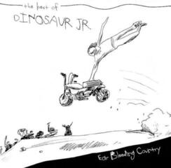 LP ploča Dinosaur Jr. - Ear Bleeding Country: The Best Of Dinosaur Jr. (Deluxe Edition) (Black & White Coloured) (2 LP)
