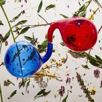 LP ploča Dirty Projectors - Lamp Lit Prose (LP) - 1