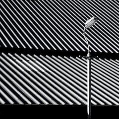 Vinüülplaat Craven Faults - Erratics & Unconformities (Reissue) (2 LP)