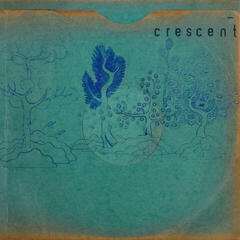 Disc de vinil Crescent - Resin Pockets (180 g) (LP)