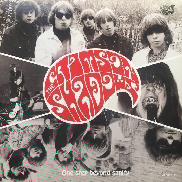 LP ploča Crimson Shadows - One Step Beyond Sanity (LP)