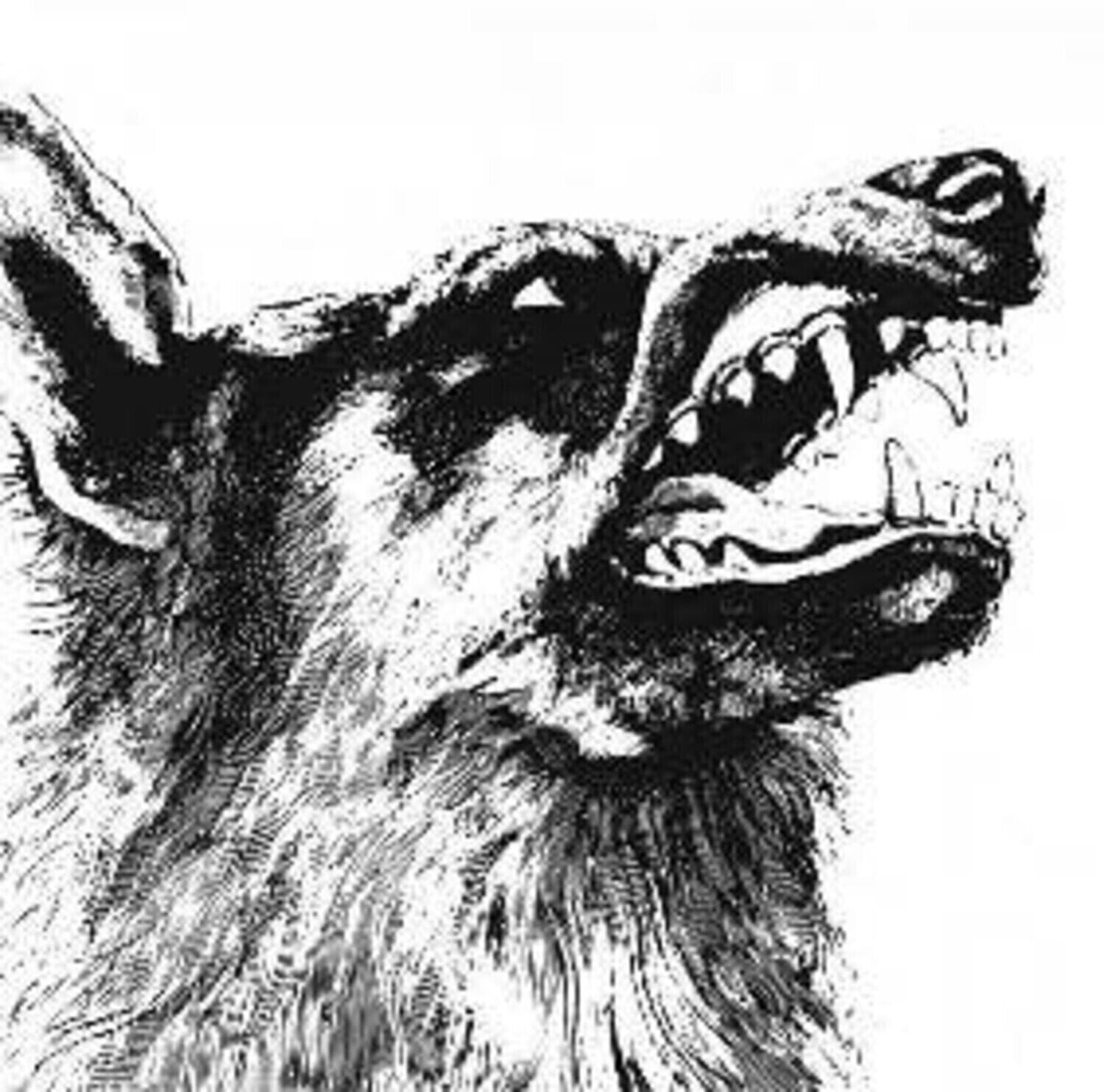 LP plošča Crippled Black Phoenix - I, Vigilante (Reissue) (EP)