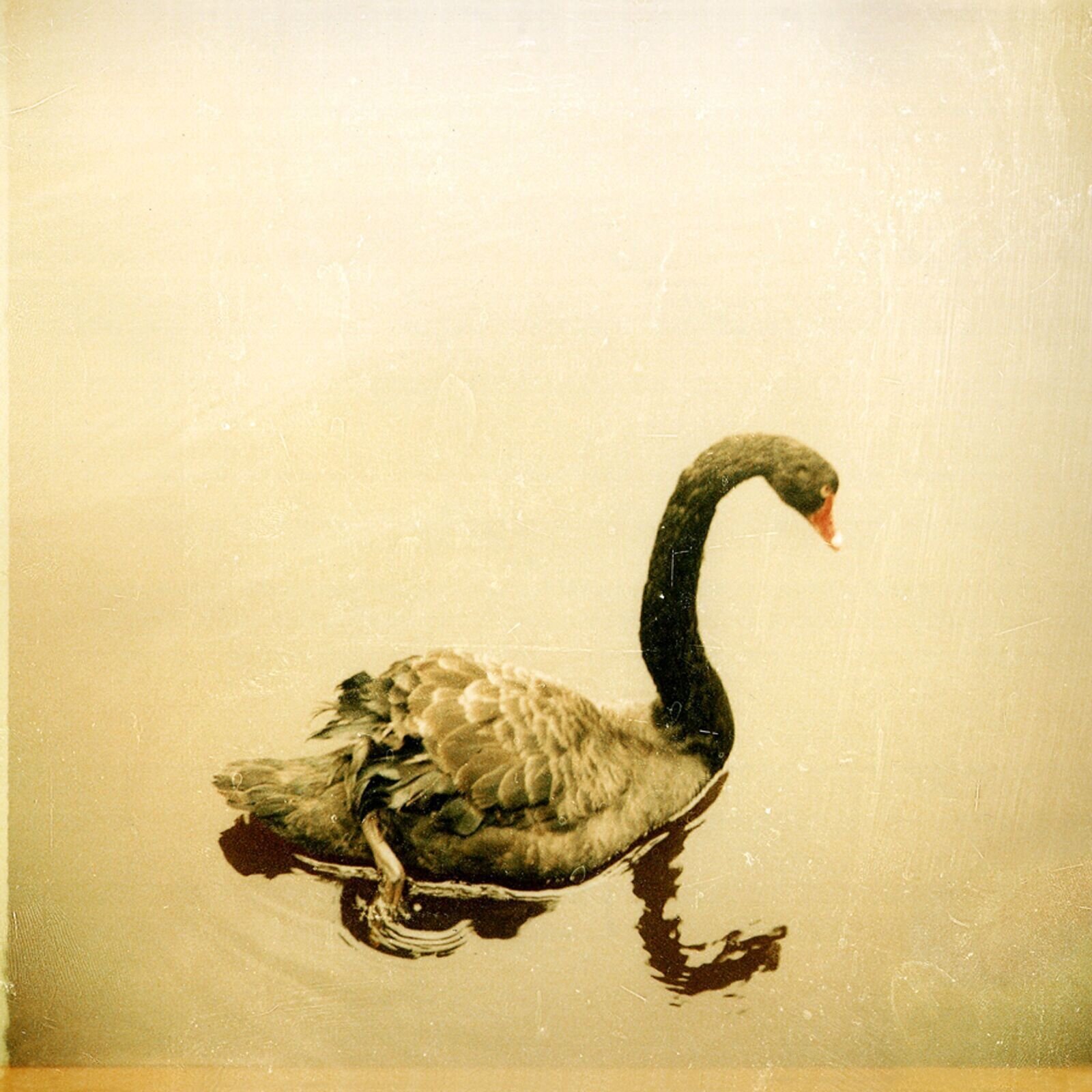 LP ploča Crooked Fingers - Crooked Fingers (Reissue) (LP)