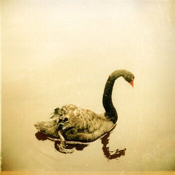 LP ploča Crooked Fingers - Crooked Fingers (Reissue) (LP) - 1