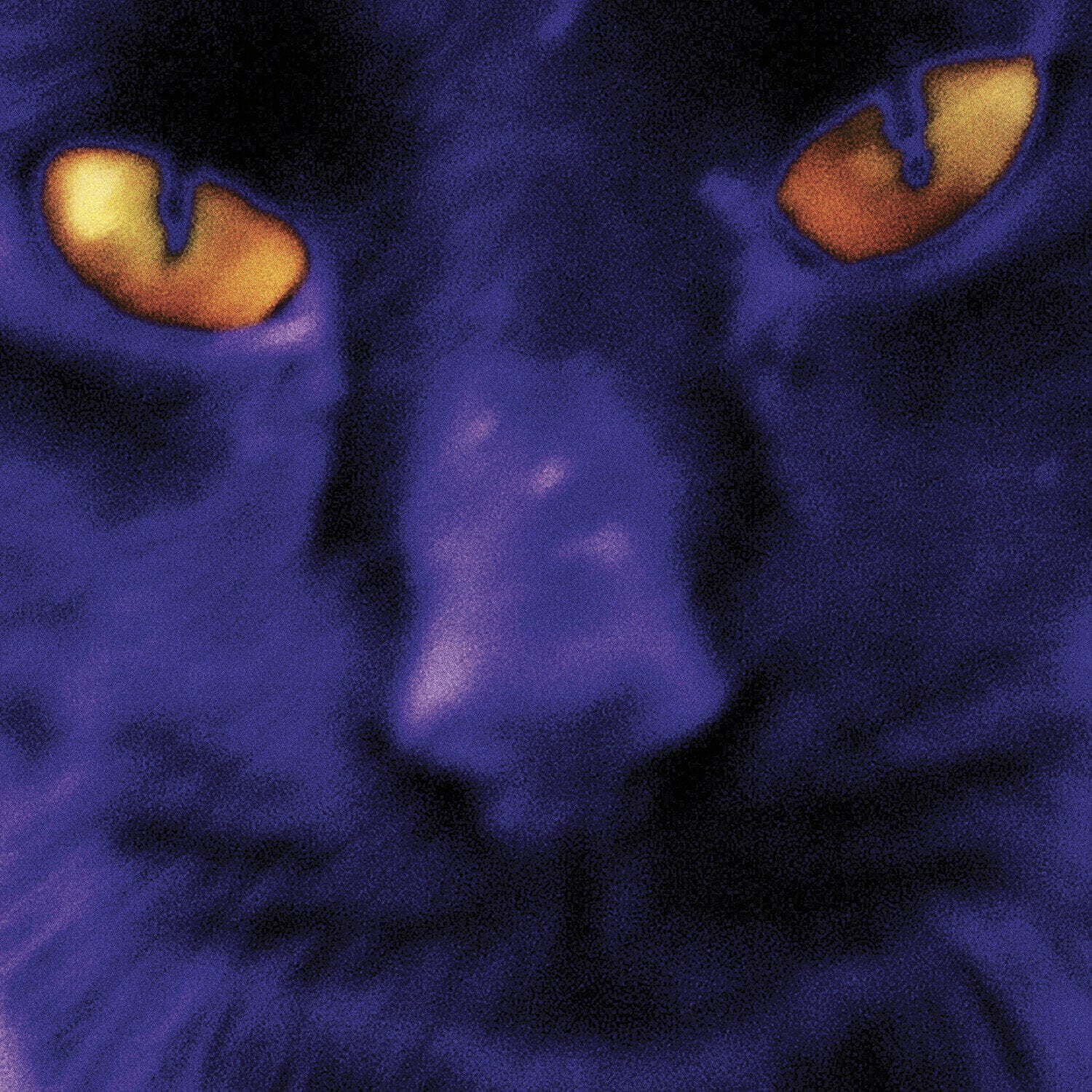 LP plošča David Kilgour - Bobbie's A Girl (Limited Edition) (LP)