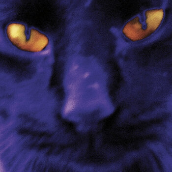 LP plošča David Kilgour - Bobbie's A Girl (Limited Edition) (LP) - 1