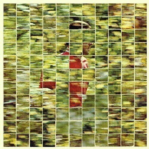 Disc de vinil Dalhous - Will To Be Well (2 LP)