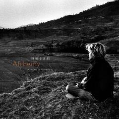 LP ploča David Sylvian - Alchemy An Index Of Possibilities (180 g) (LP)