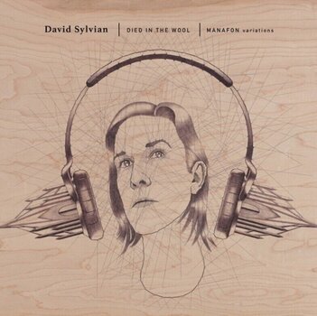Disco de vinil David Sylvian - Died In The Wool | Manafon Variations (Reissue) (2 LP) - 1