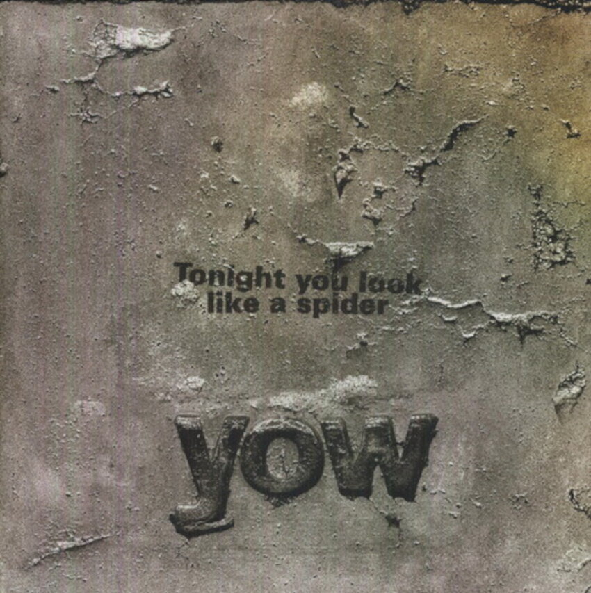 LP plošča David Yow - Tonight You Look Like A Spider (LP)