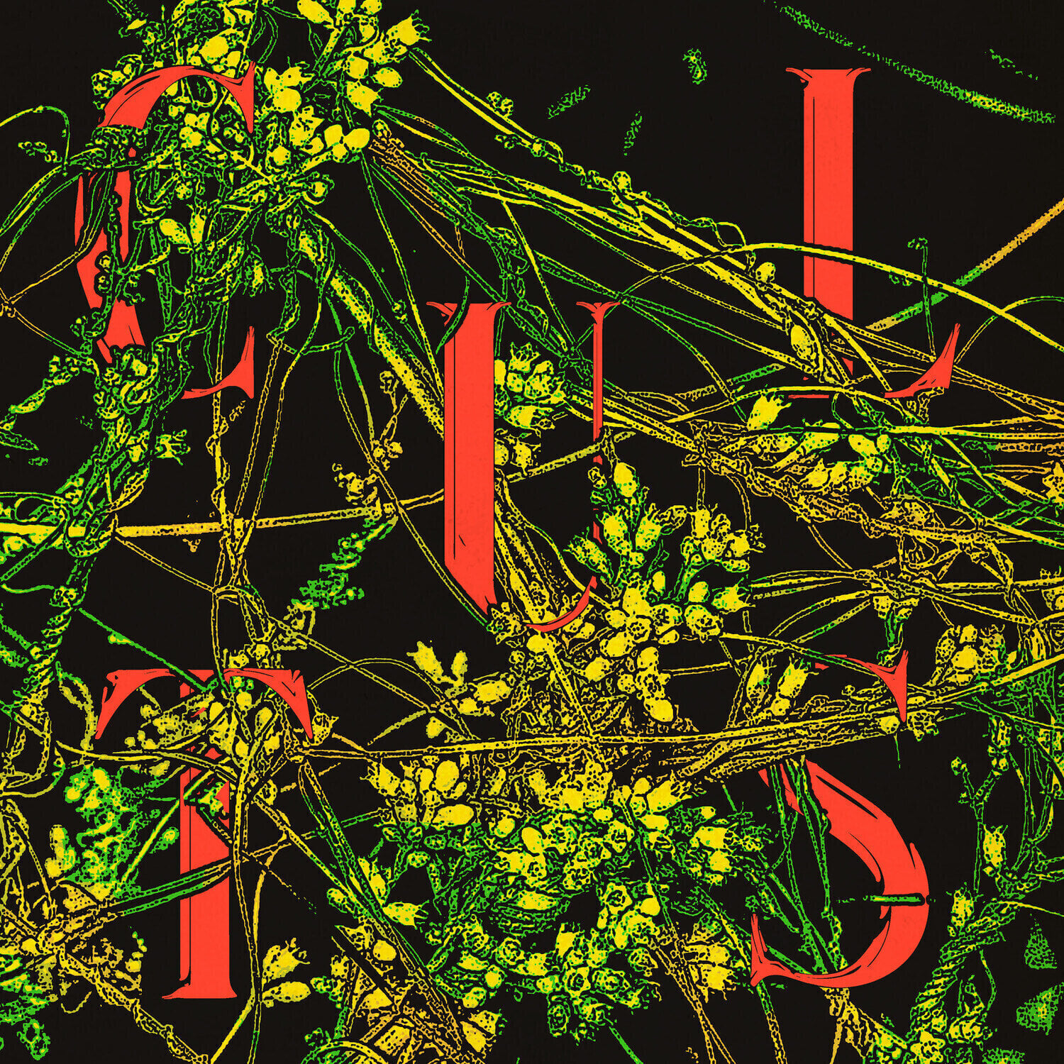 LP deska Cults - Host (LP)