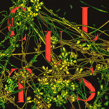 LP deska Cults - Host (LP) - 1