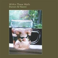 LP ploča Damon & Naomi - Within These Walls (Reissue) (LP)