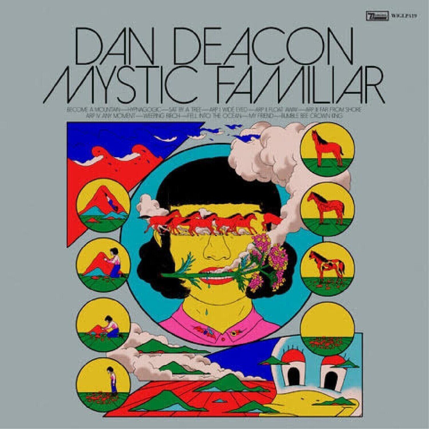 LP ploča Dan Deacon - Mystic Familiar (LP)