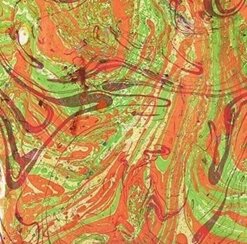 Disc de vinil Dan Friel - Life (LP) - 1