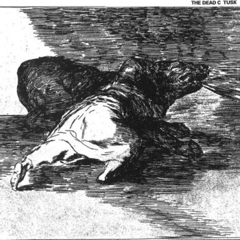 Vinüülplaat Dead C - Tusk (2 LP) - 1