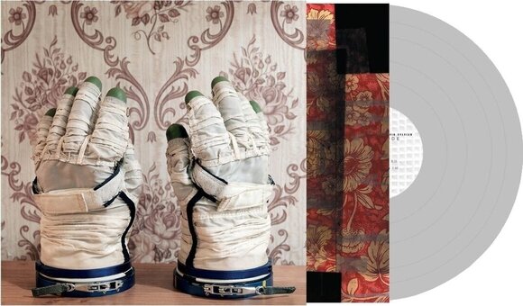 LP ploča Stephan Mathieu / David Sylvian - Wandermüde (Reissue) (Clear Coloured) (180 g) (2 LP) - 1