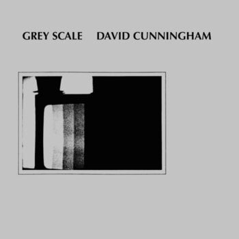 LP ploča David Cunningham - Grey Scale (Reissue) (LP) - 1