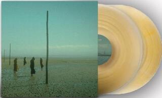 LP ploča Devil's Witches - In All Her Forms: Maiden. Mistress. Mother. Matriarch. (45 RPM) (Clear Gold Marbled Coloured) (2 LP)