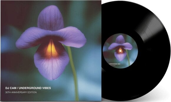 Disque vinyle DJ Cam - Underground Vibes (30th Anniversary Edition) (180 g) (LP) - 1