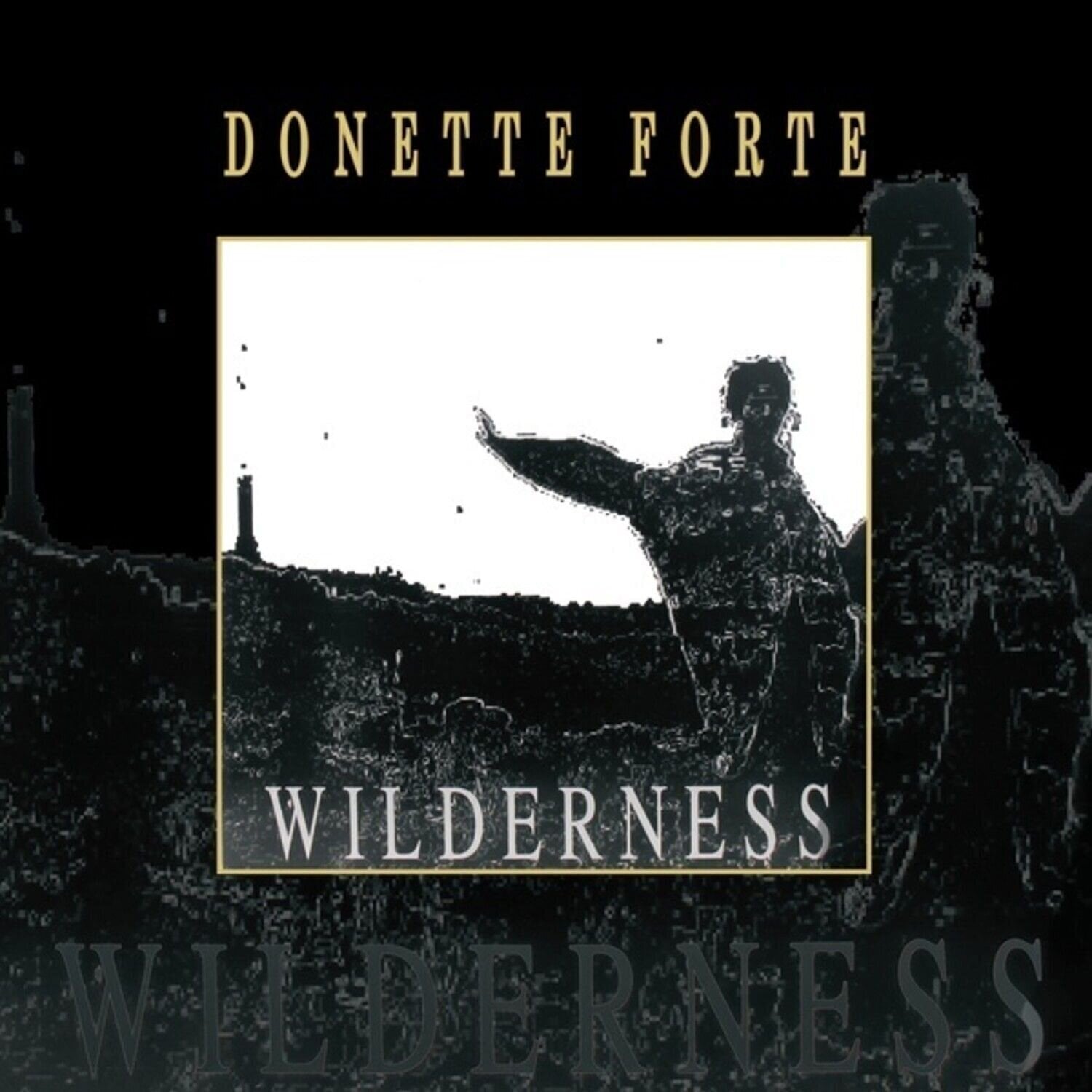 LP ploča Donette Forte - Wilderness (Reissue) (LP)