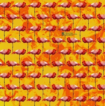 LP ploča Elephant Château - Dreamings & Offshore Drilling: Pearls And Turtles (LP) - 1