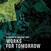 LP ploča Eleventh Dream Day - Works For Tomorrow (LP)
