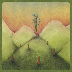 Vinyl Record Eluvium - Copia (Reissue) (Deluxe Edition) (2 LP)