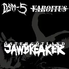 LP ploča DSM-5 & Varoitus - Östergötland Jawbreaker (LP)